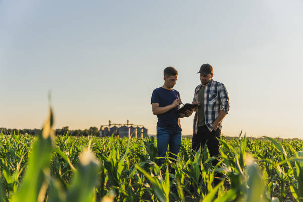 Asesoría agrícola